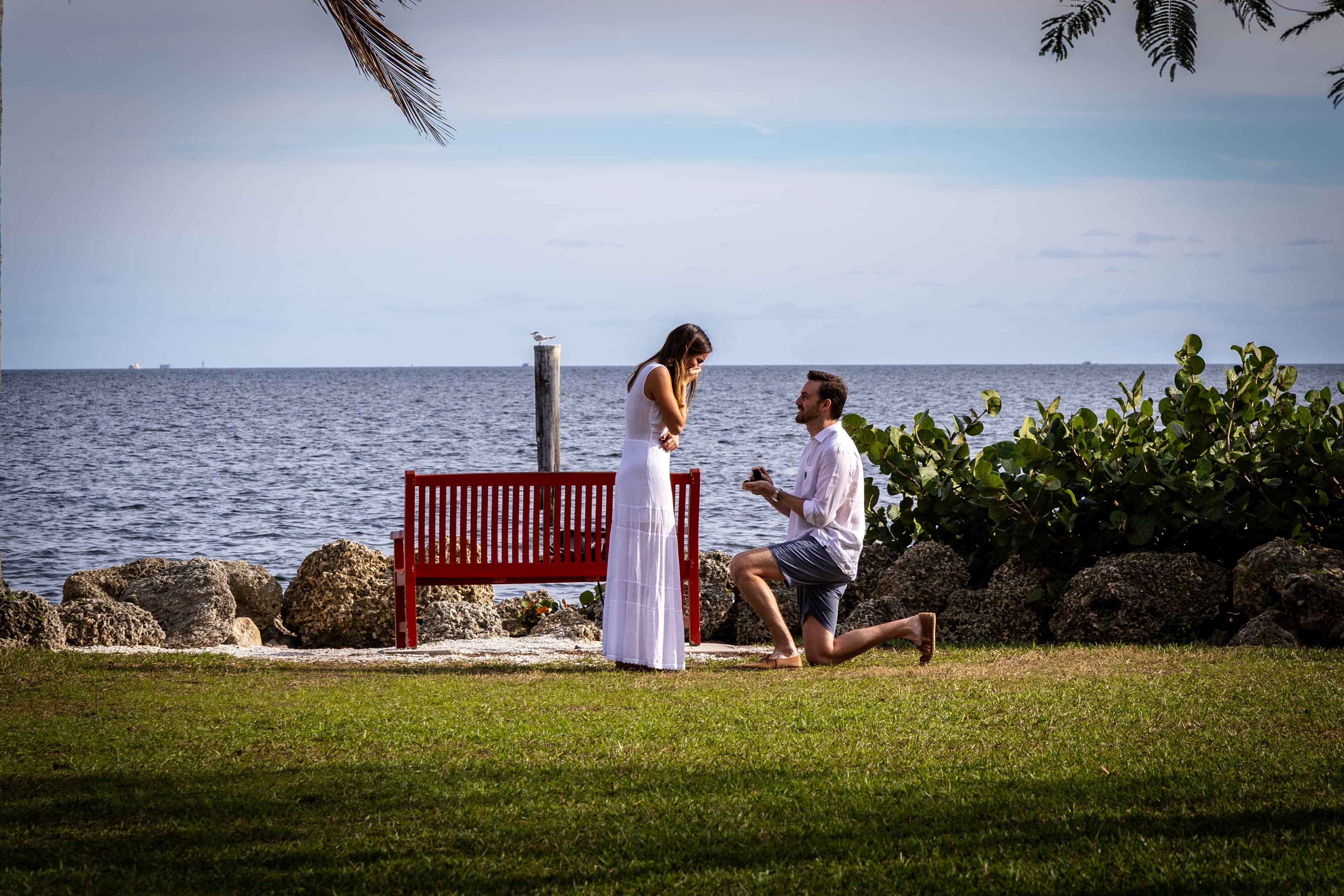 The big moment! Save the date for July 2–4, 2027.